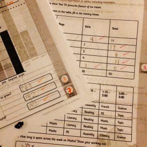 With 100 ways to home educate, tests are optional.