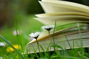 Open homeschool books, laid on grass.