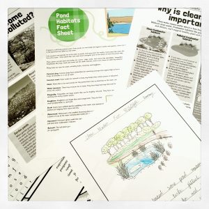 Geoscience and ELA worksheets.