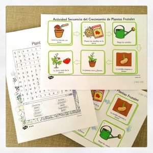 Twinkl worksheets to support our botany topic and vegetable garden activities.