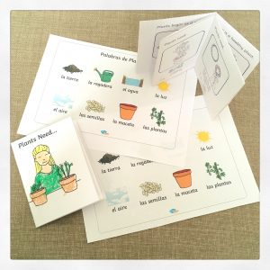 Mini plant books and custom word mats.