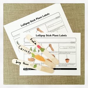 Popsicle stick plant labels for our kids vegetable garden.