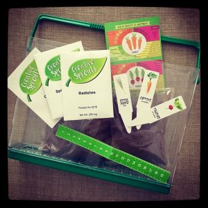 Grow Your Own Vegetable Garden kit by Creative Sprouts.